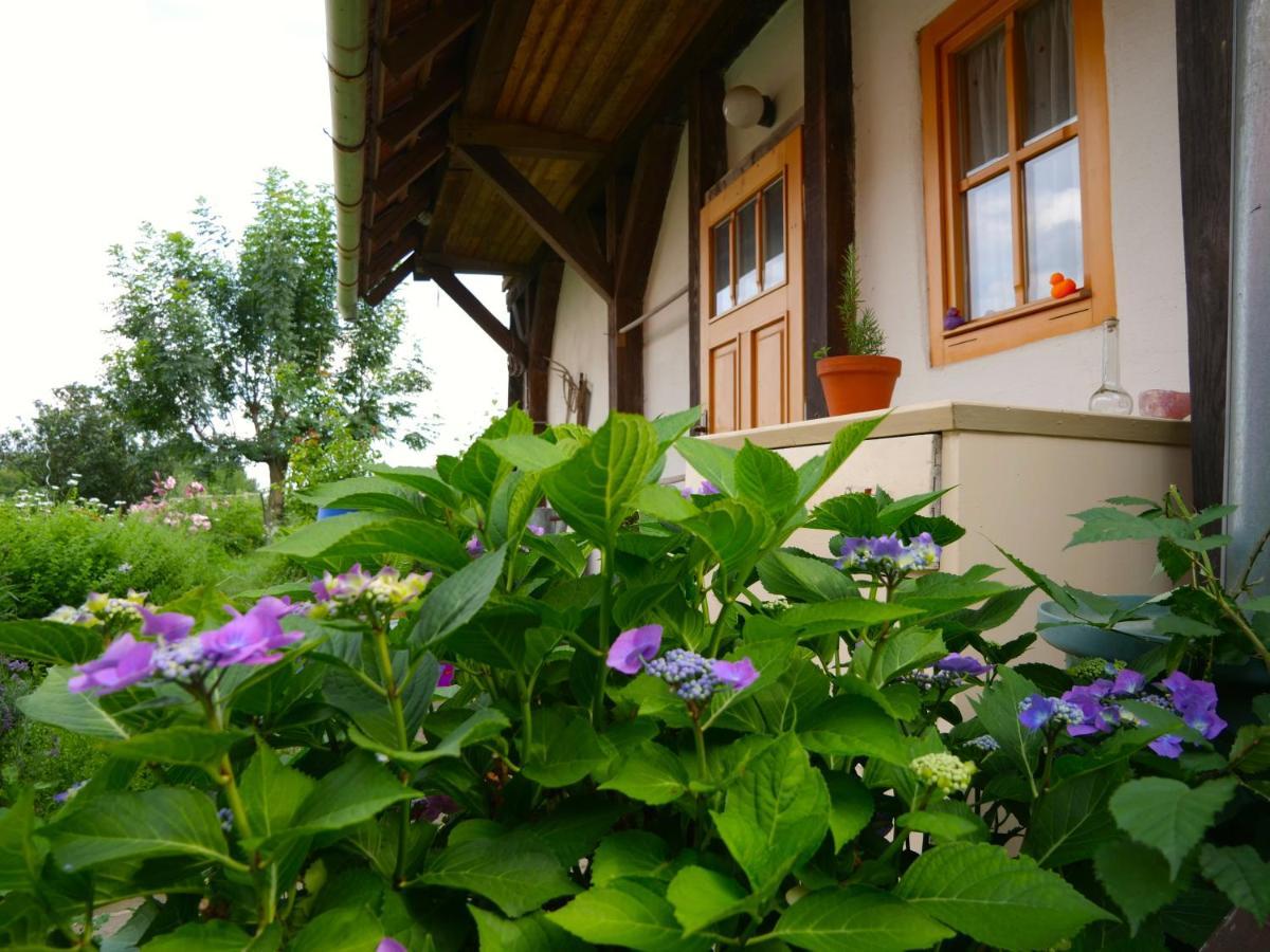 Selanka Off road Hill View Hotell Moravske Lieskove Exteriör bild