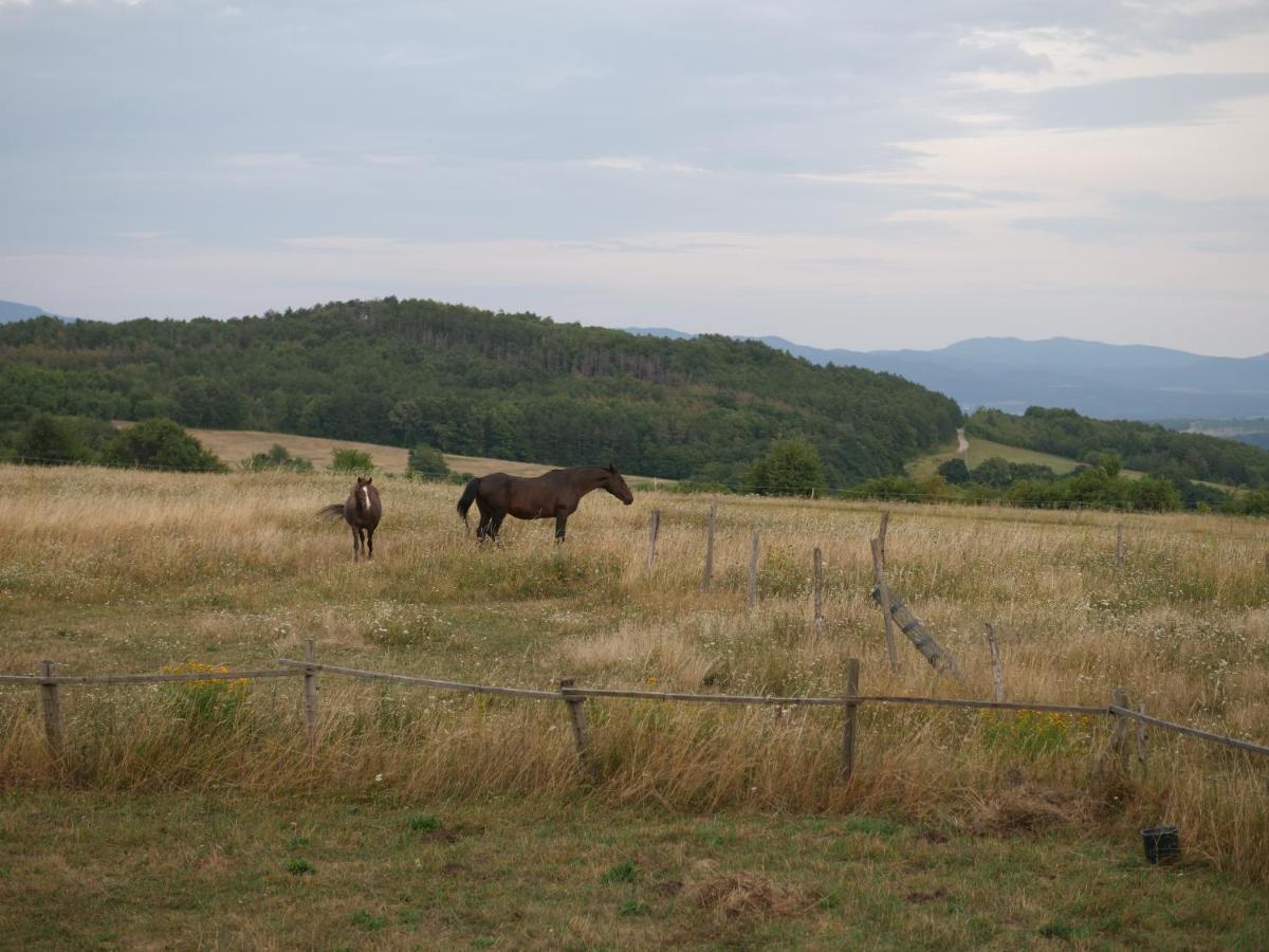 Selanka Off road Hill View Hotell Moravske Lieskove Exteriör bild